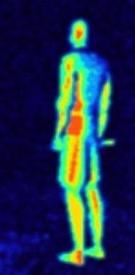 热成像安全防护监控系统